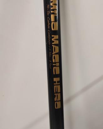 canna bolognese milo 6mt