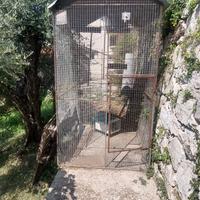 voliera metallica