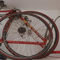 olmo competition1984