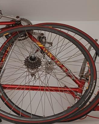 olmo competition1984