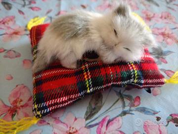 Peluche Gattino che dorme