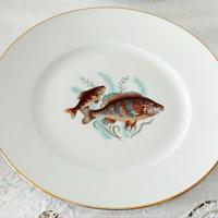 Servizio di piatti in porcellana  Richard Ginori.