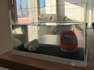 Acquario accessoriato