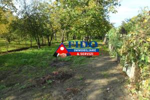 Terreno agricolo di 1.000 mq con casotto