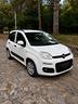 fiat-panda