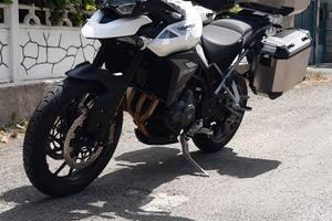Tiger 900 gt pro 