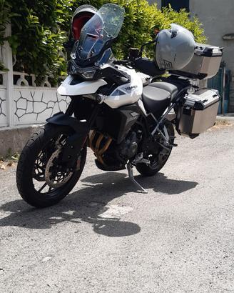 Tiger 900 gt pro 