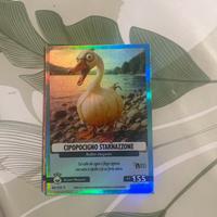 Cipopocigno starnazzone