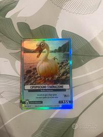 Cipopocigno starnazzone