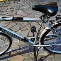 bicicletta normale 