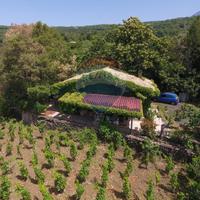 Baita/Chalet/Trullo - Santa Maria di Licodia