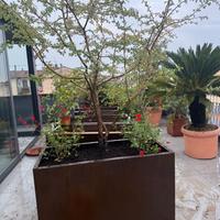 Fioriere in corten