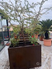 Fioriere in corten