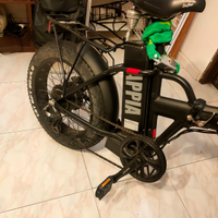 Bici elettrica