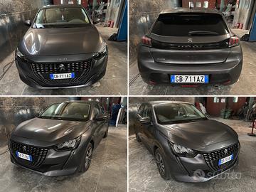 Pegeout 208