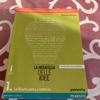 La meraviglia delle idee 1, Domenico Massaro