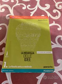 La meraviglia delle idee 1, Domenico Massaro