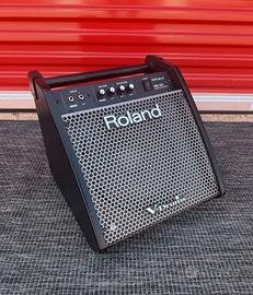 ROLAND PM-100