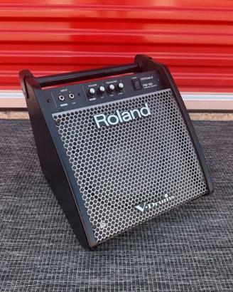 ROLAND PM-100