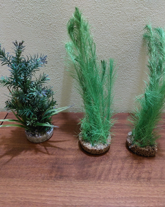 Accessori per acquario