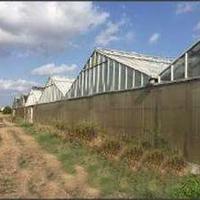 Azienda Agricola a Aprilia