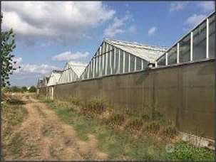 Azienda Agricola a Aprilia