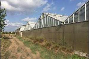 Azienda Agricola a Aprilia