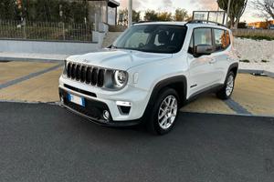 Jeep Renegade limited 2019 1.6 multijet