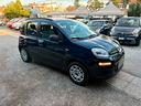 fiat-panda-1-2-lounge