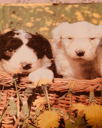 Lenzuolo per letto singolo con federa