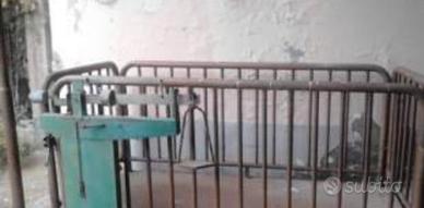 bilancia pesa bestiame