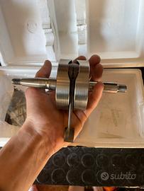 Albero top spalle piene corsa 44 am6