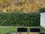 Immagine 15
