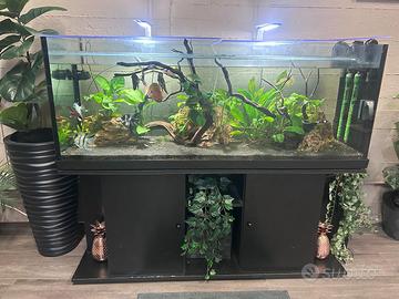 Acquario 500 litri