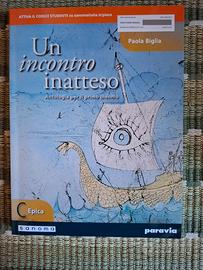Testo scolastico Un incontro inatteso 