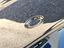 Immagine 21