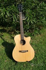 chitarra elettroacustica James Neligan