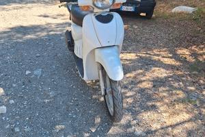 aprilia scarabeo 50  4 tempi 