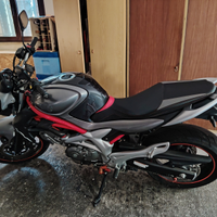 Suzuki gladius