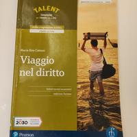 Viaggio nel diritto 