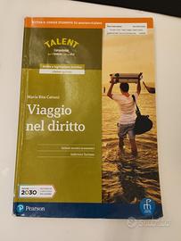 Viaggio nel diritto 