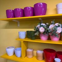 Vasi di varia dimesione