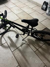 Bicicletta 20 bambino