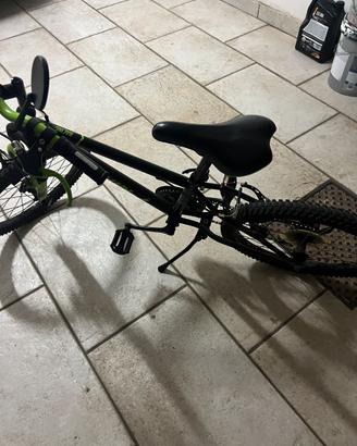 Bicicletta 20 bambino