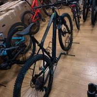 Orbea AlmaM50