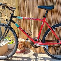 MTB SCOTT 26