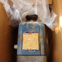 Motore Pedrollo JSW 3CH