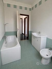 Piastrelle bagno cucina bianche verdi 20 cm