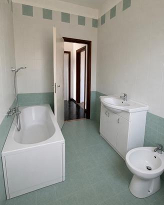 Piastrelle bagno cucina bianche verdi 20 cm