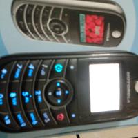 Cellulare modello "Motorola C139"